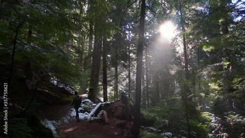 Slow motion shot of female hiker walking amidst trees during snowfall in forest - Cheakamus Lake, British Columbia