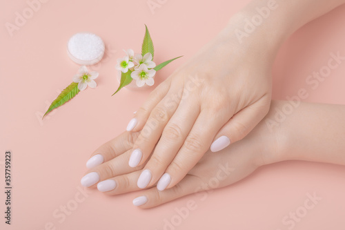 well-groomed beautiful woman hands on a pastel background. hand skin care concept