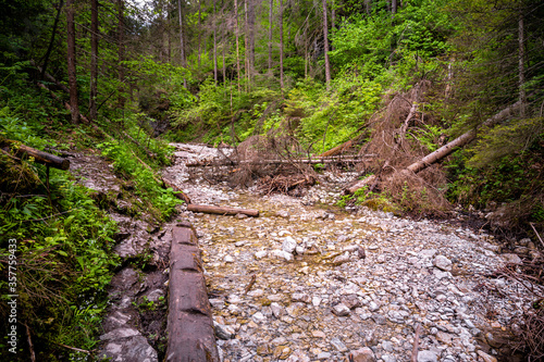 Waterfall with ladder in canyon, sucha bela  in Slovak Paradise, Slovensky Raj National Park, Slovakia photo