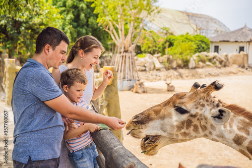 Photography Happy mother, father and son watching and feeding giraffe in zoo