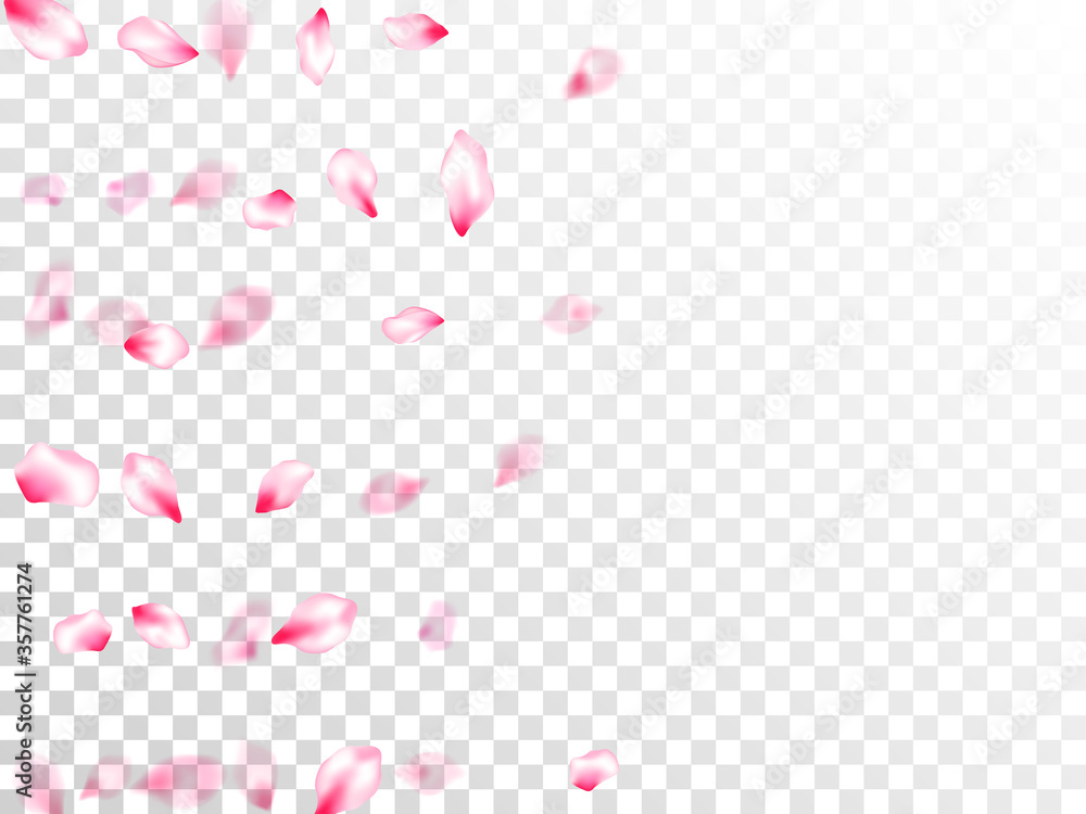 Spring tree flowers parts, airy flying petals Spring tree flowers parts, airy flying petals