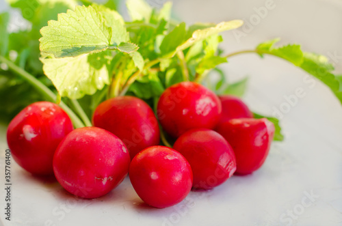 Fresh organic red radishes with green leaves in the basket. Healthy nutrition concept. New crop of vegetables grown in the garden. Harvest 2020. High quality photo