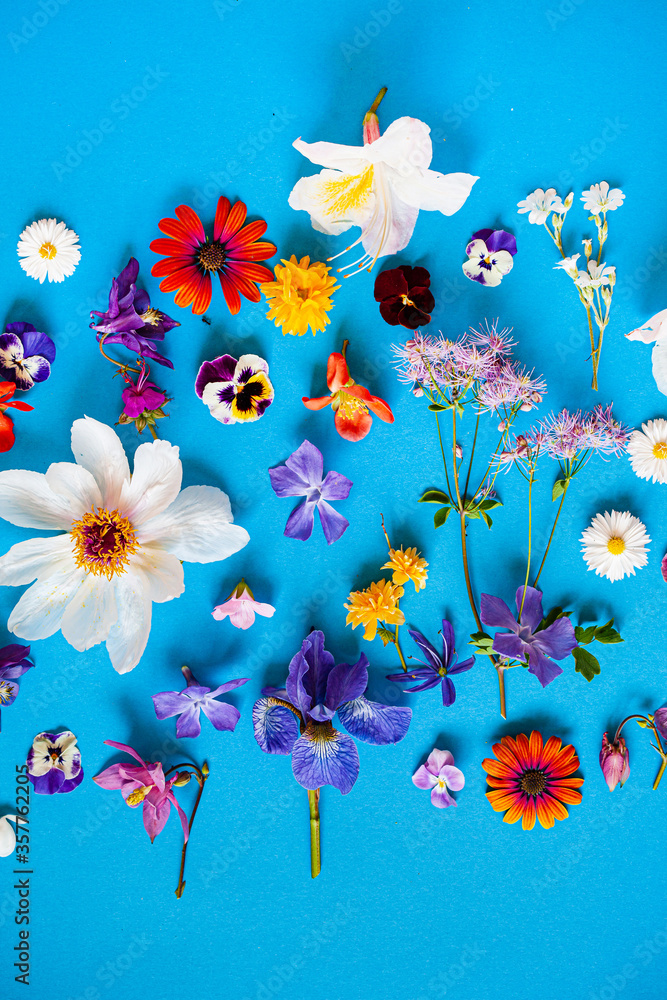 beautiful flowers on the blue background beautiful flowers on the blue background