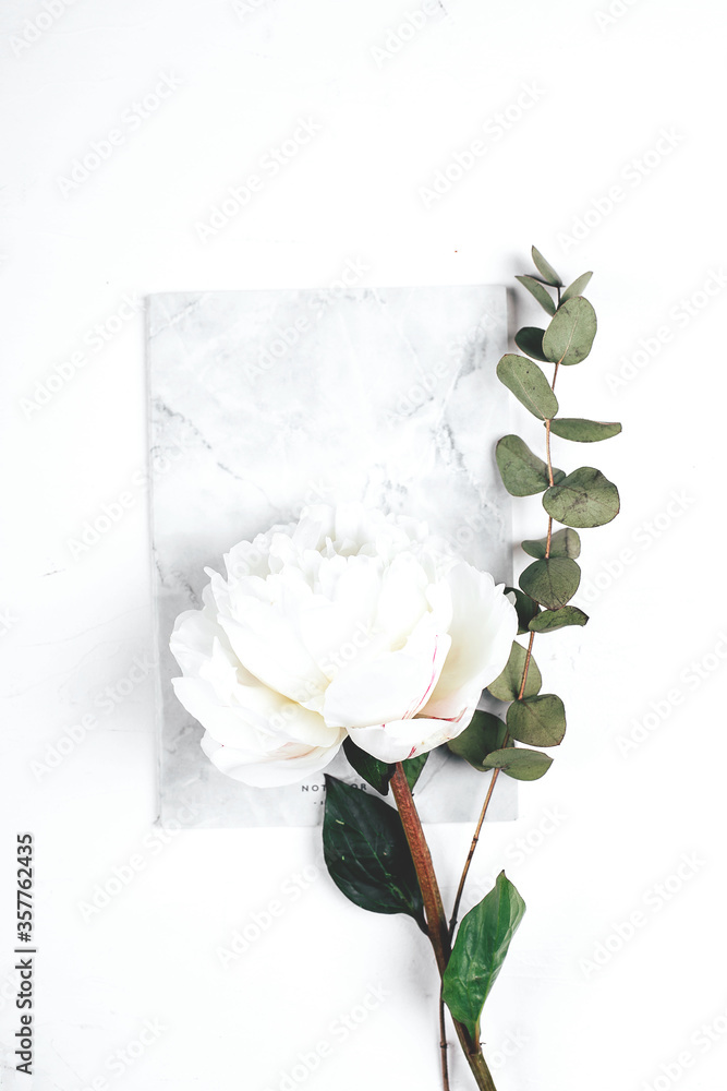 Fototapeta premium Notebook, flowers white peony and sprig of eucalyptus on white background. Cozy, still life, minimal concept. Top view, flat lay, copy space