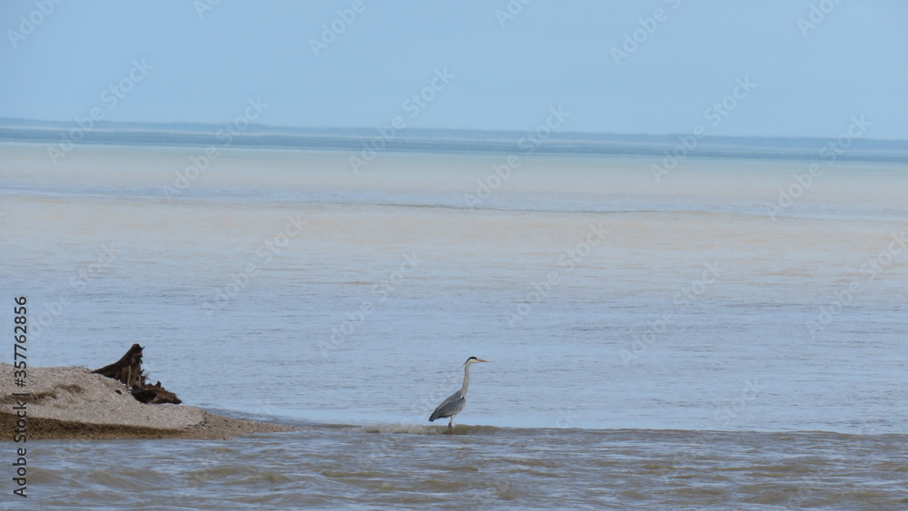 Fototapeta premium Paesaggio marino