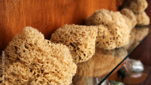 Sea sponges of different shapes and sizes sold at a small shop in Symi town, Symi island, Greece
