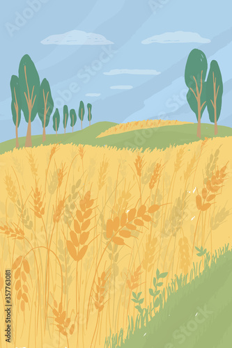 Agricultural landscape with wheat field. Agriculture or farming concept. Harvest season in farm land vector illustration. Summer panorama with ears of ripe wheat, green hills, trees. Nature background