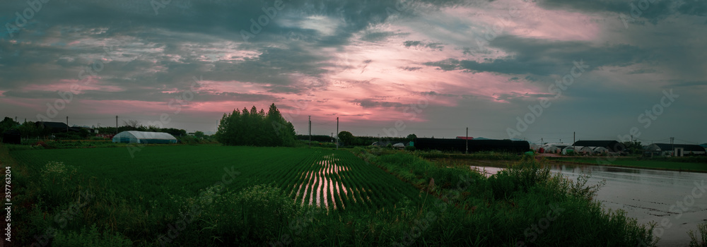 A beautiful evening panorama view during sunset in the farmland in Goyang, South Korea. 
