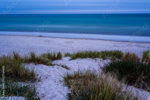 grass on the beach