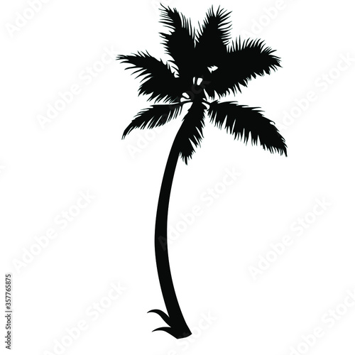 palm tree silhouette vector illustration isolated on white background