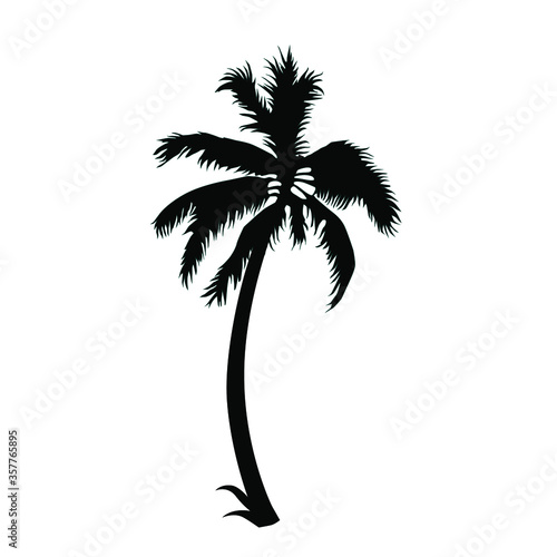 palm tree silhouette vector illustration isolated on white background