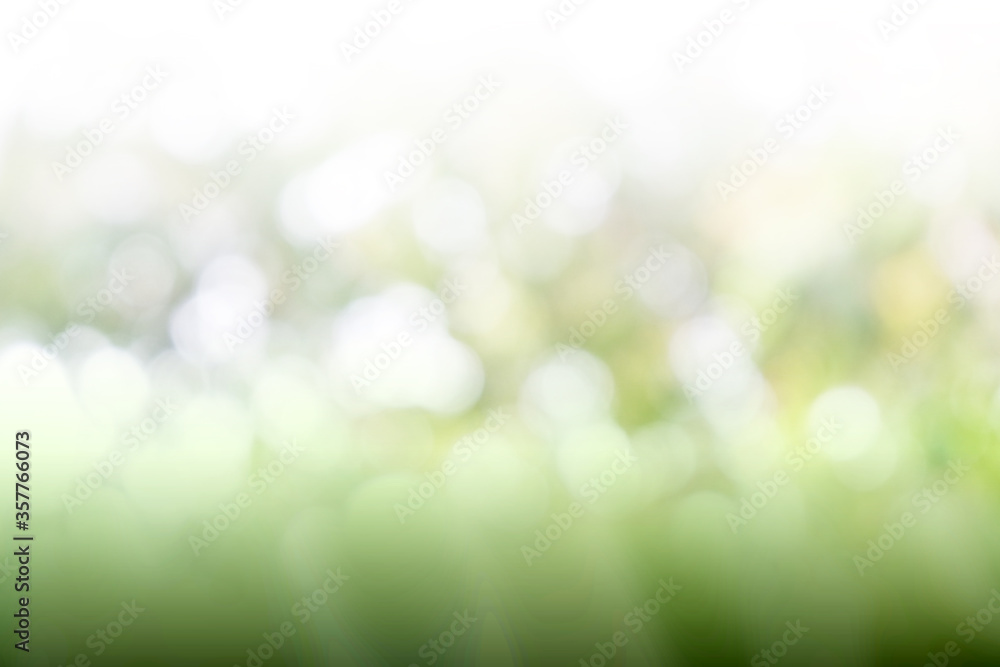 Obraz premium Green background for people who want to use graphics advertising
