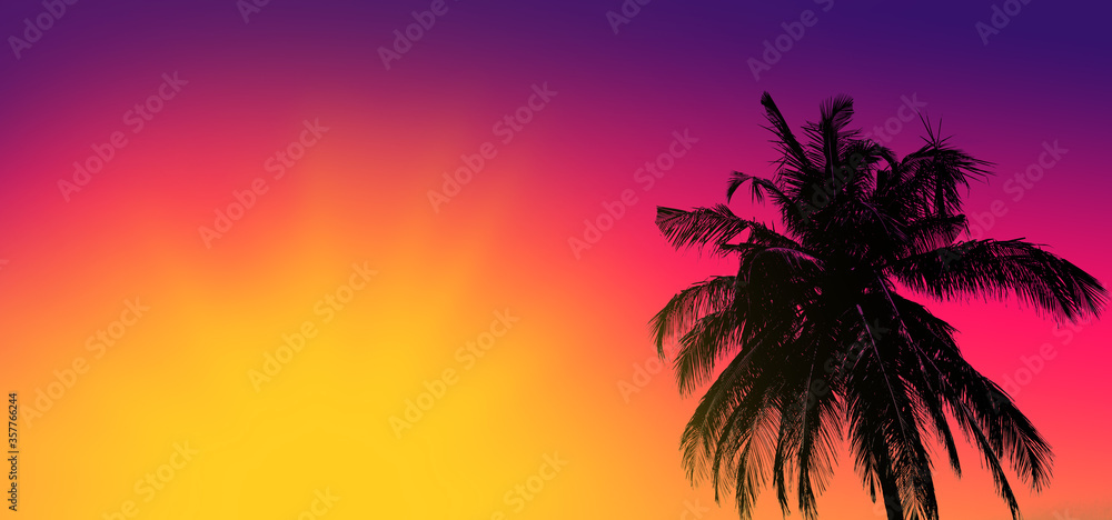 Sunset on tropical beach with palm