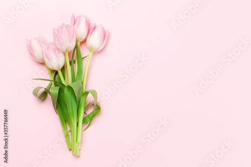 Fototapeta Naklejka Na Ścianę i Meble -  Pink tulips over pink background
