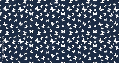 Birds seamless pattern on a dark background. Loop animation 4K
