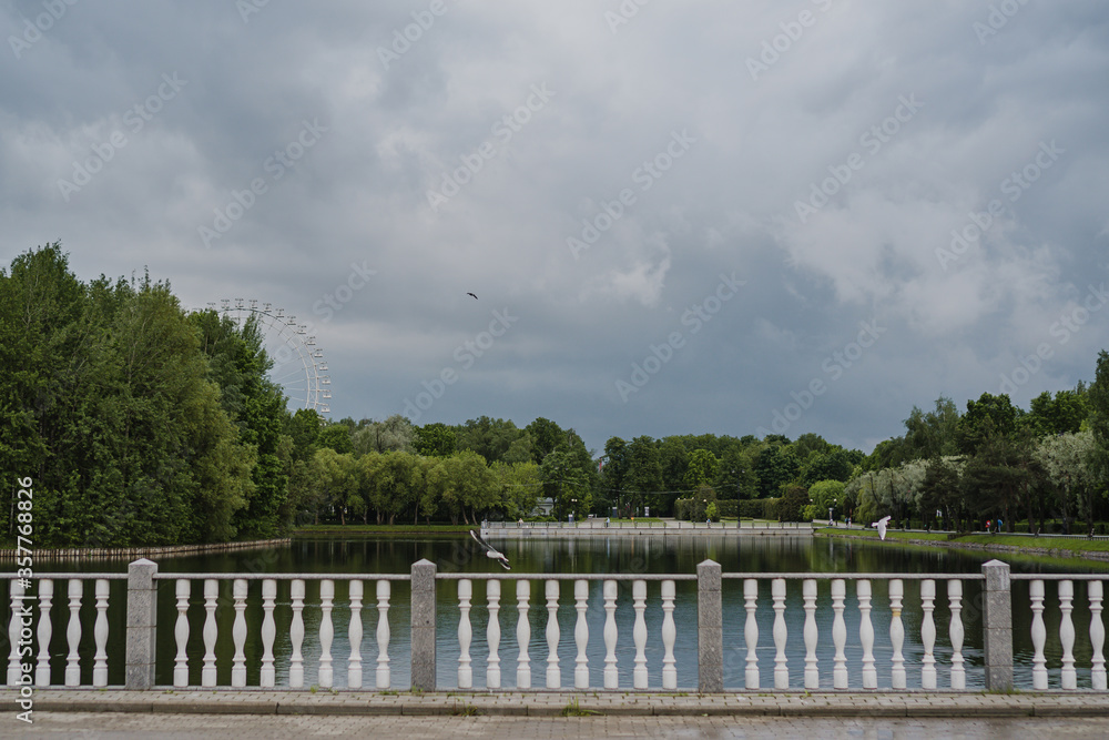 seagull flies over a pond in a park on a summer cloudy day