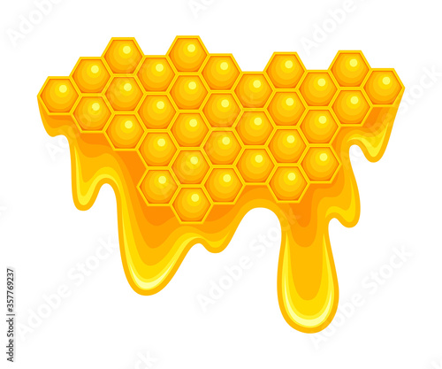 Honey omb with Hexagonal Wax Cells and Flowing Down Sticky Liquid Vector Illustration