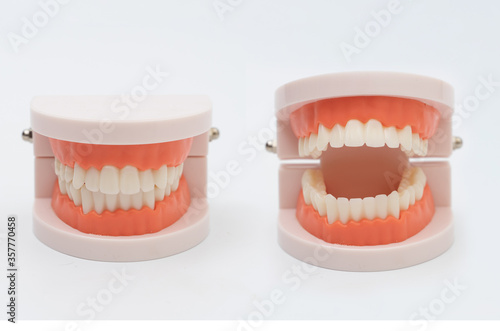 Teeth model and dentist tool on white