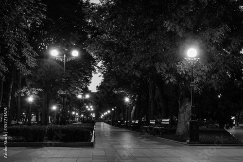 An empty illuminated park at the night.