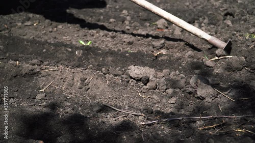 Wallpaper Mural Land cultivation with hand tools Torontodigital.ca