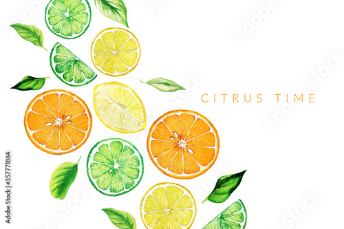 Watercolor fruits, flat lay background, hand drawn vector