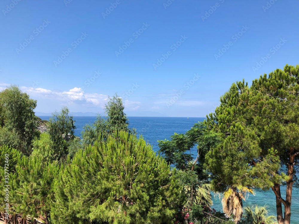 landscape with trees landscape with trees
