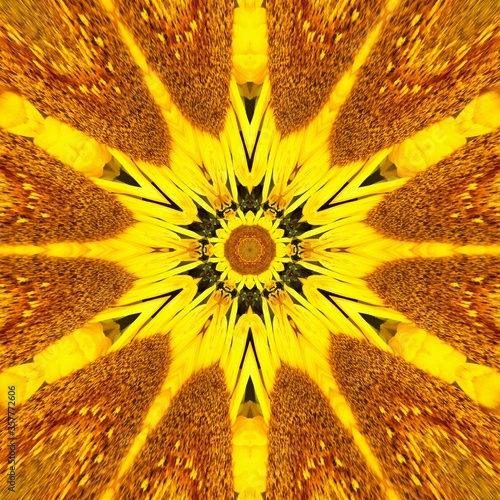 sunflower pattern backgroun...