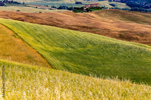 Tuscany Landscape
