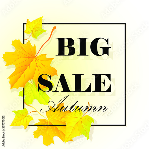 big seasonal sale, autumn