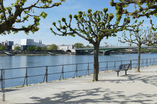 Menschenleere Rheinpromenade mit Blick zum Bonner Rheinufer