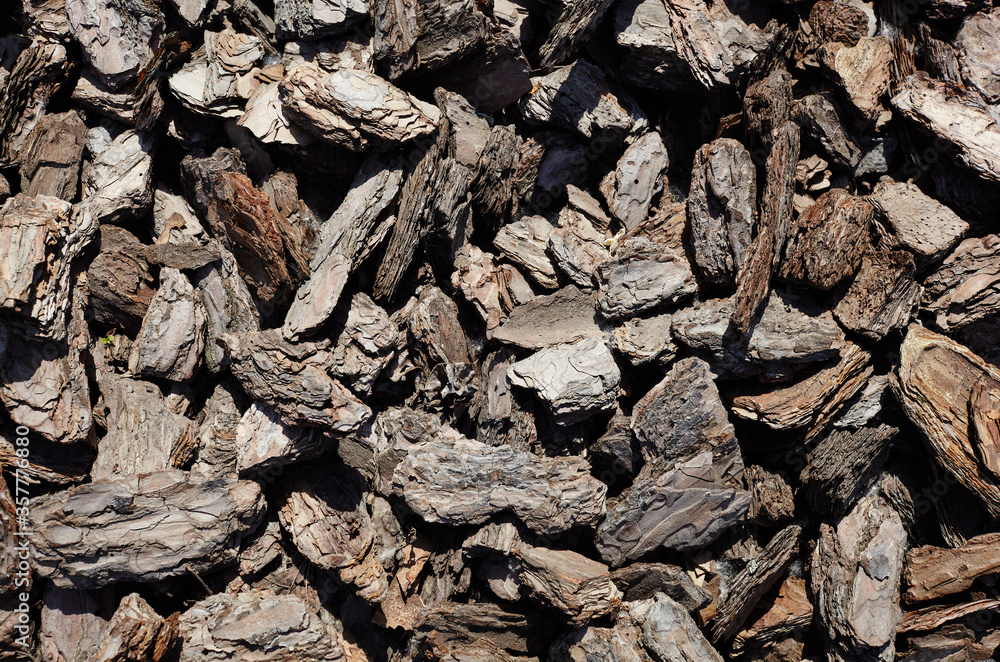 Crushed tree bark texture background closeup.Pieces of trunk.Old tree bark background or texture.Shredded brown tree bark for decoration and mulching or for playground Crushed tree bark texture background closeup.Pieces of trunk.Old tree bark background or texture.Shredded brown tree bark for decoration and mulching or for playground