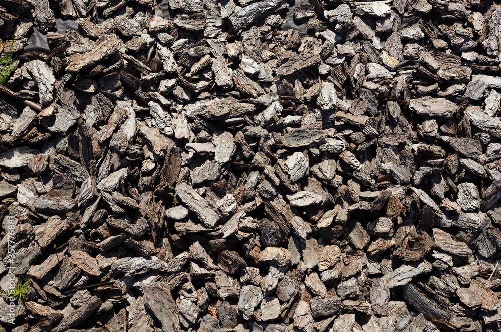 Crushed tree bark texture background closeup.Pieces of trunk.Old tree bark background or texture.Shredded brown tree bark for decoration and mulching or for playground Crushed tree bark texture background closeup.Pieces of trunk.Old tree bark background or texture.Shredded brown tree bark for decoration and mulching or for playground