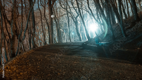 lantern in spring night park