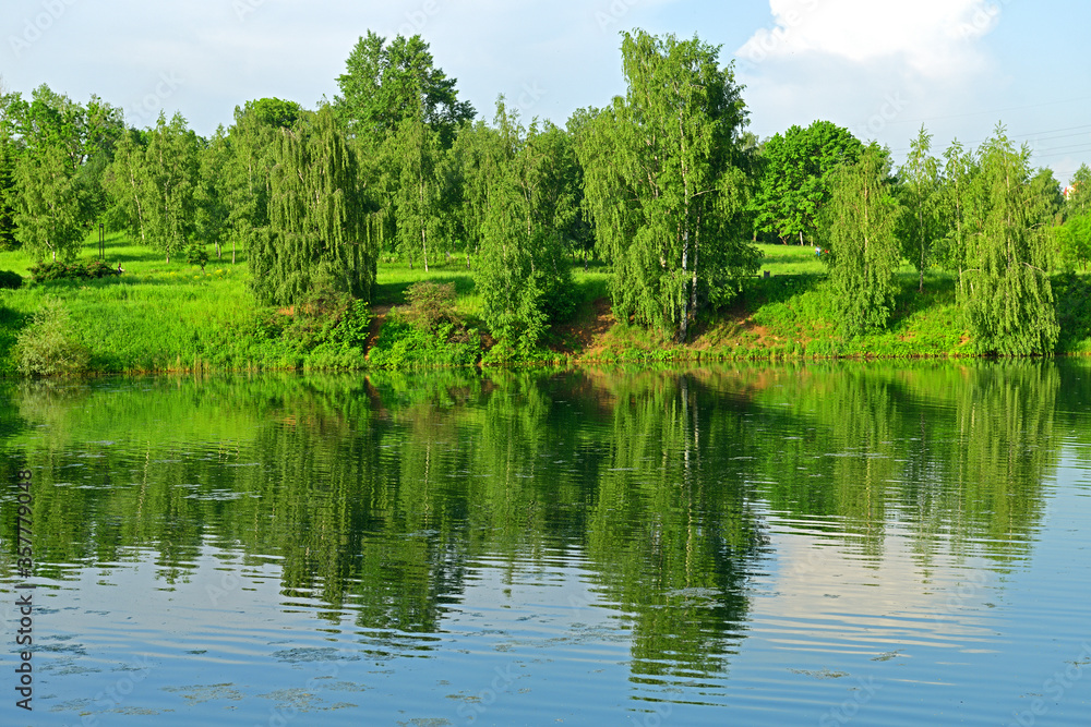 Penyaginsky Pond in Mitino Landscape Park. Moscow, Russia. Summer landscape Penyaginsky Pond in Mitino Landscape Park. Moscow, Russia. Summer landscape