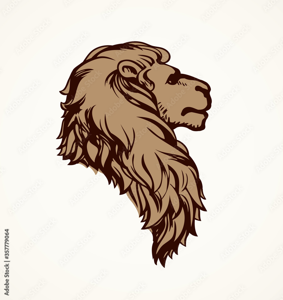 Lion. Vector drawing