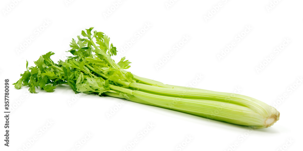 Green fresh celery. Stick isolated on white. Green fresh celery. Stick isolated on white.