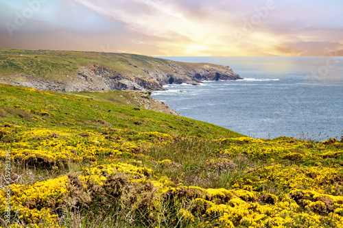 Pointe du Raz. La cote sauvage. Finistère. Bretagne	 photo