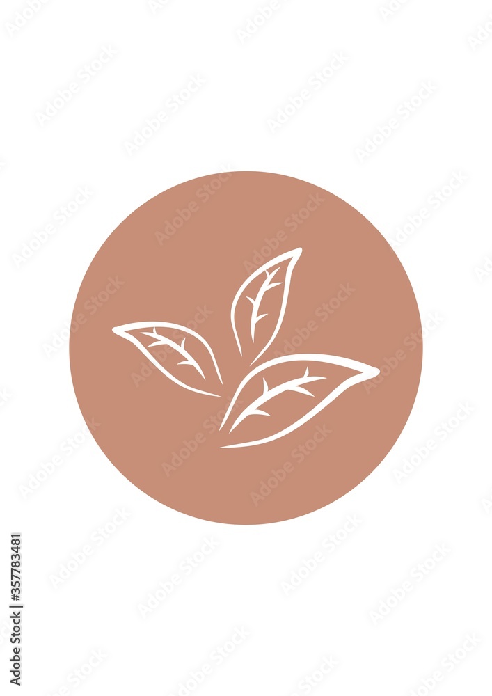 Vector floral icon. Vector illustration. Design element for textiles, wallpaper, t-shirts, packaging, postcards, brochures, posters and other uses. Vector floral icon. Vector illustration. Design element for textiles, wallpaper, t-shirts, packaging, postcards, brochures, posters and other uses.