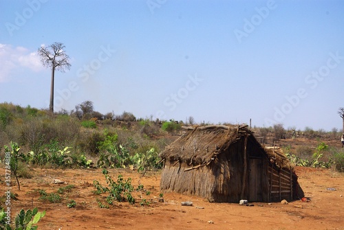 Exotic landscape of Madagascar