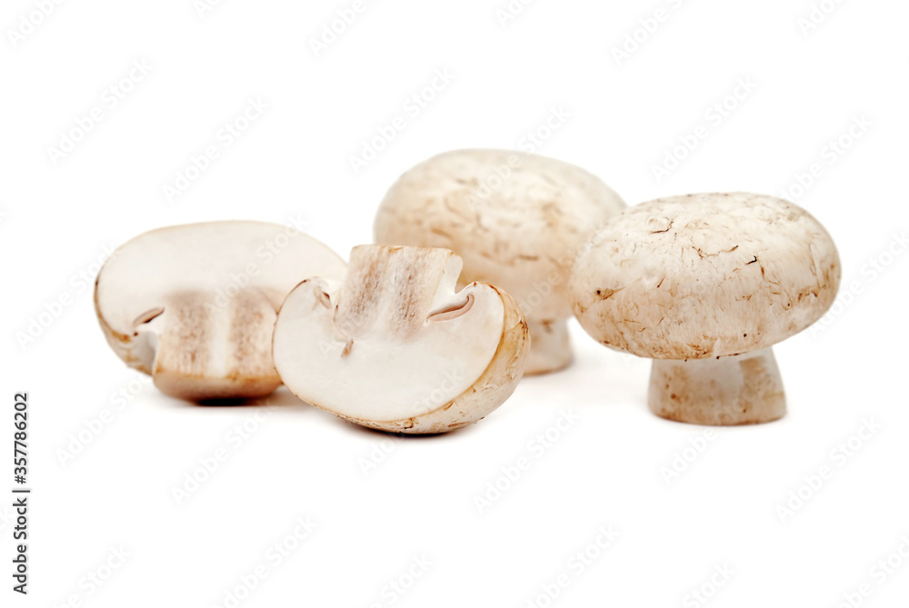 mushrooms on a white background mushrooms on a white background