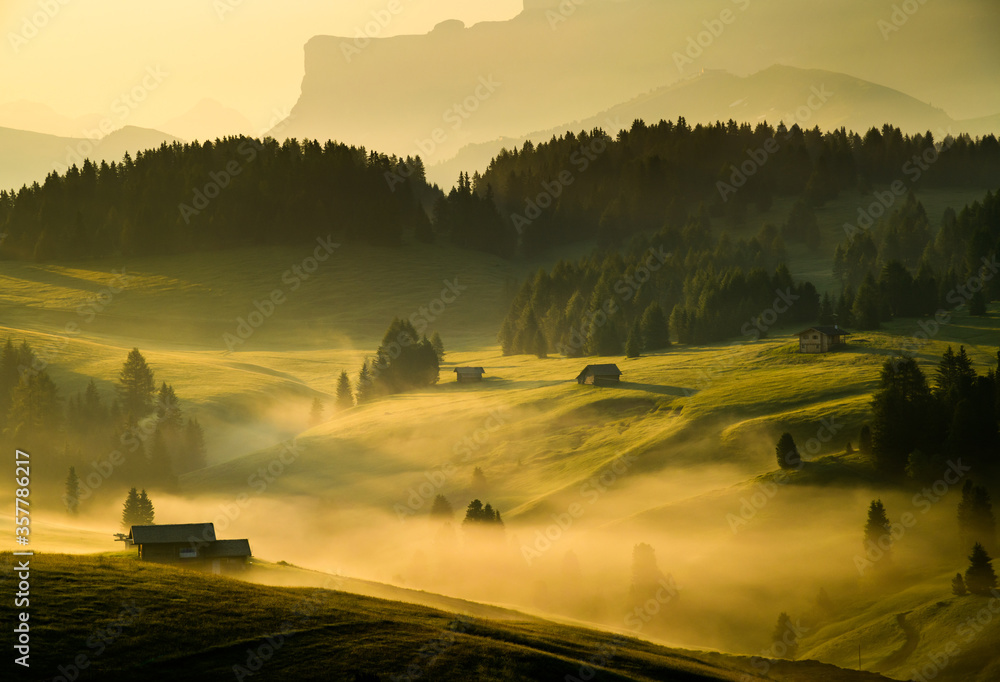 Seiser Alm (Alpe di Siusi) with Langkofel mountain at sunrise in summer, Italy - obrazy, fototapety, plakaty 