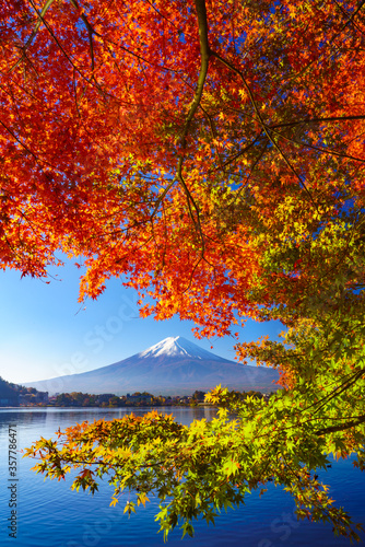 Mountain fuji with red maple in Autumn  Kawaguchiko Lake  Japan