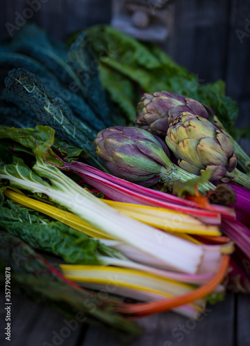 Harvest of fresh organic silverbeet, artichokes, kale and beetroot from the garden