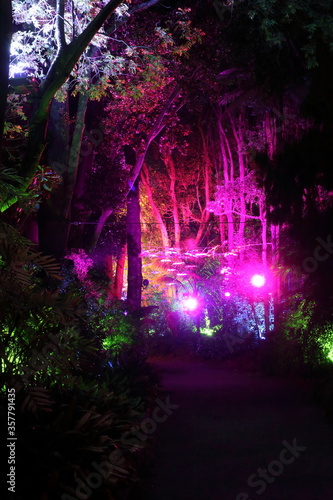 Lighting effects in New Plymouth gardens festival of lights 