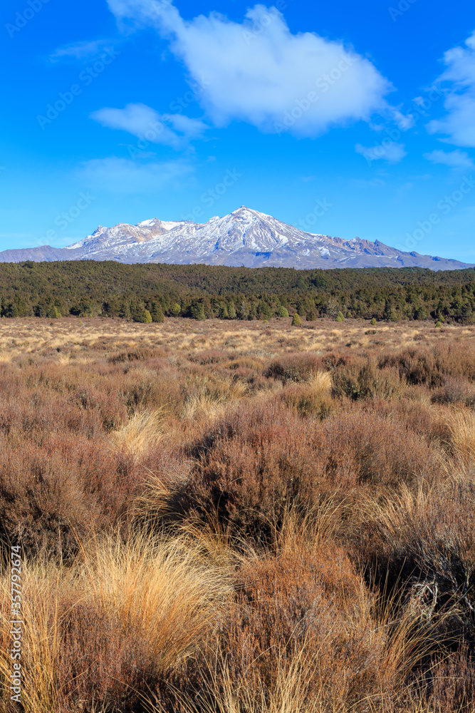 Fototapeta premium Mount Ruapehu seen from the grasslands of the Rangipo Desert, New Zealand