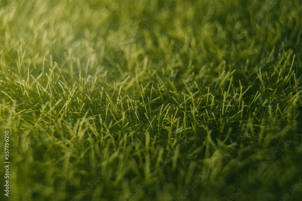 Fototapeta premium Artificial close up green grass texture