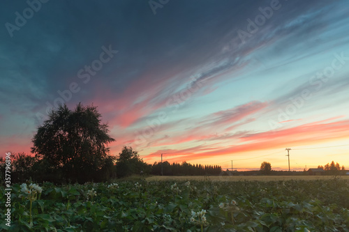 Dramatic Sunset Over the Summer Fields © k009034