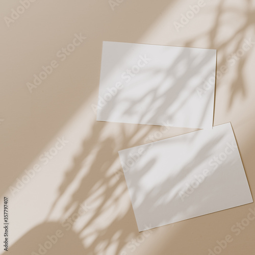Blank paper sheet cards with mockup copy space with sunlight shadow on beige background. Minimal business brand template. Flat lay, top view