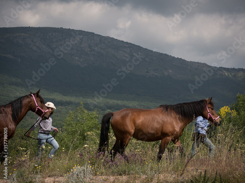 Female horse riders one with white hat leading two andalusian chestnut horses through the countryside. © Daniel