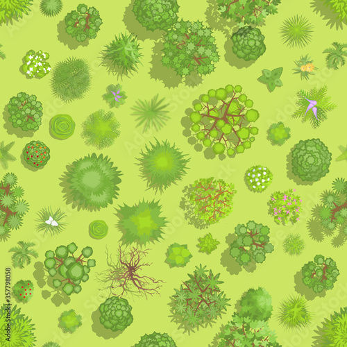 Seamless pattern. Forest top view. Park view from above. 